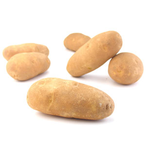 Potato - Russet