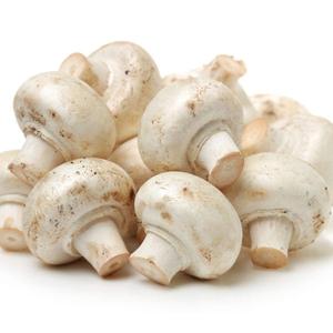 Mushrooms