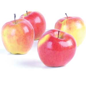 Apple - Pink Lady