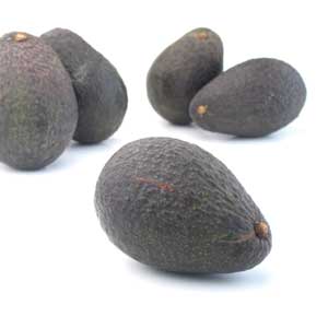 Avocado