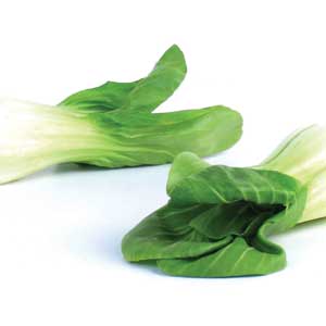 Baby Bok Choy