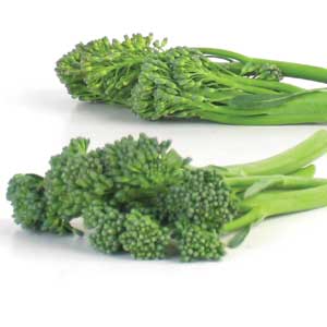 Broccolini