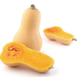 Butternut Squash