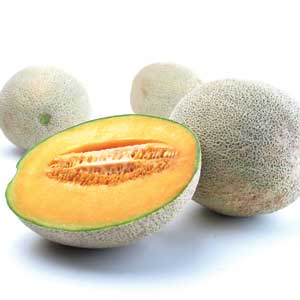 Cantaloupe Melon