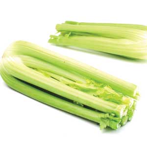 Celery