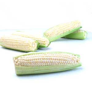 Corn on the Cob