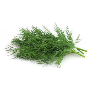 Dill - Fresh Organic