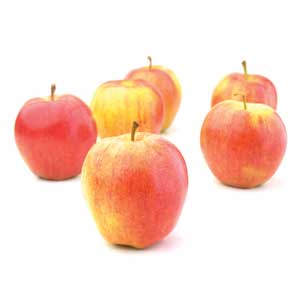 Apple - Gala