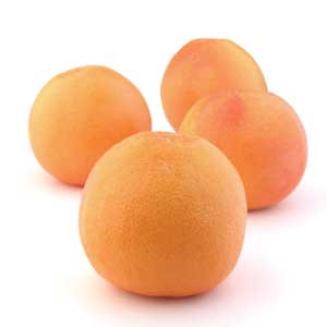 Grapefruit