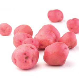 Potato - Baby Red