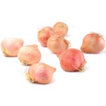 Shallots