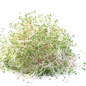 Sprouts