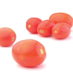 Tomato - Roma